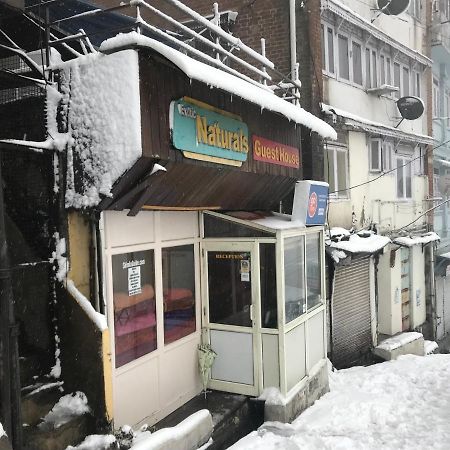 Exotic Naturals Guest House Shimla Bagian luar foto