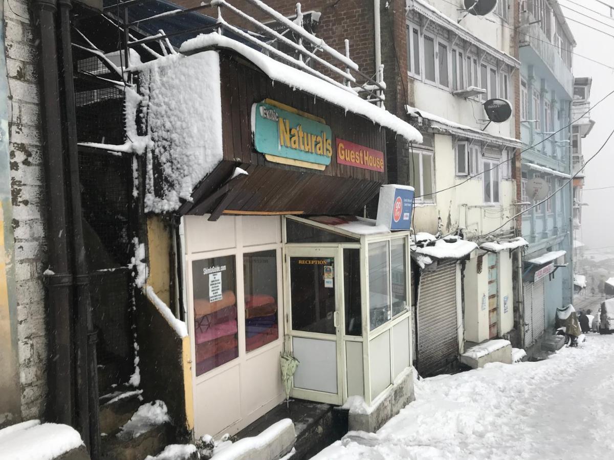 Exotic Naturals Guest House Shimla Bagian luar foto